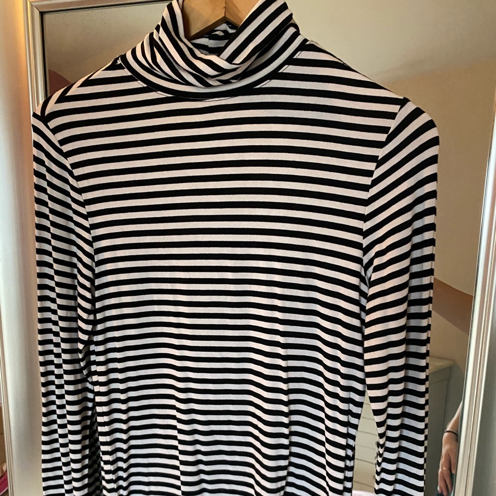 Striped Turtleneck